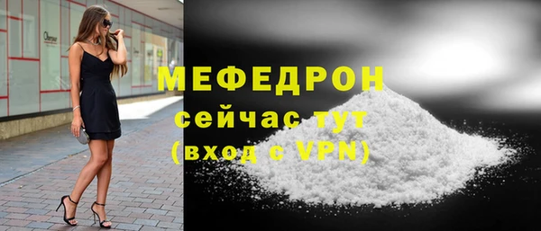 индика Заводоуковск