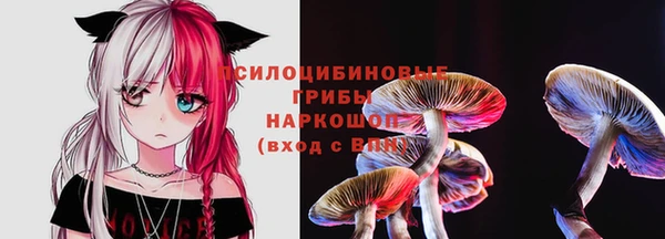 индика Заводоуковск