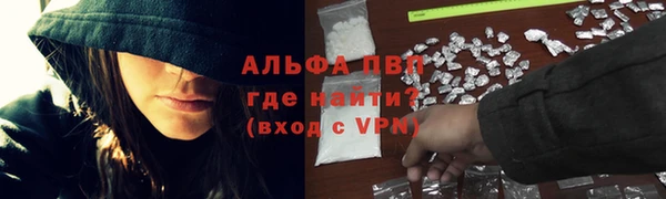 индика Заводоуковск