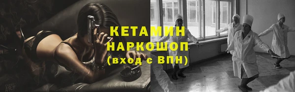 индика Заводоуковск