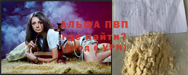 индика Заводоуковск