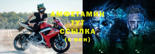 индика Заводоуковск