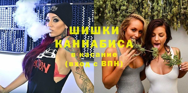 индика Заводоуковск