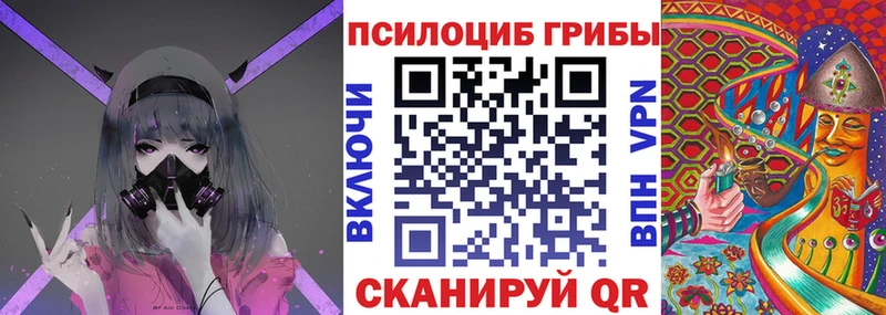 Купить где  Шилка  Псилоцибиновые грибы мухоморы 